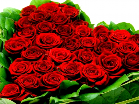 TENDER HEART - roses, heart, shape, arrangement, red