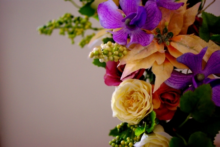 FLOWER CORNER - nature, colors, flowers, background