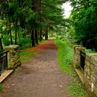 Scenic Summer Walk