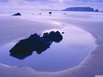 Large Lonely Purple Beach