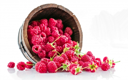 Bucket of Raspberries - Raspberries, Still Life, Bucket, Abstract