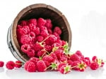 Bucket of Raspberries