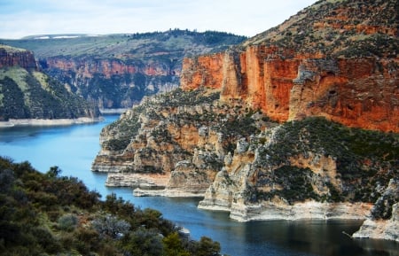 Canyon's River - river, trees, beautiful, cliffs, grass, afternnon, canyon