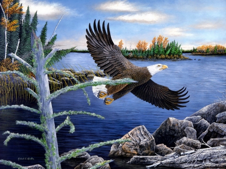 Majestic flight - beautiful, majestic, forest, birs, river, eagle, animal, nature, painting, flight, wings, lake, art, sky, wild