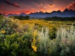 Grand Teton National Park