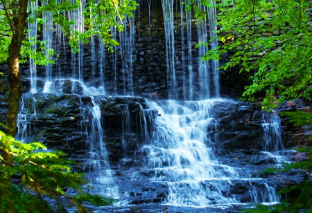 Forest waterfall - branches, trees, water, summer, waterfall, nature, fall, forest, beautiful