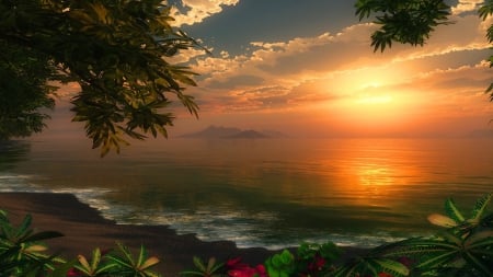 Sunset - sky, art, beach, trees, glowing, flowers, sunset