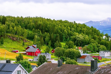 Norwegian Village at Coastline - trees, forest, landscape, mountains, house, colors