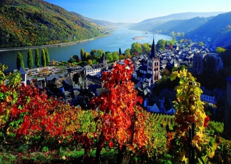 On the River Rhine - germany, trees, hills, autumn, landscape, city