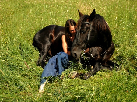 Friendship - cowgirl, grass, meadow, stallion, brunette, horse