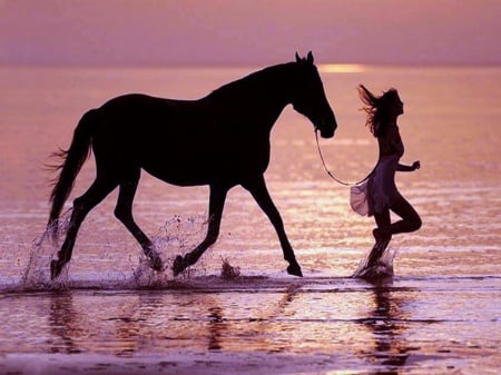 Moonlight run - evening, ocean, horse, woman