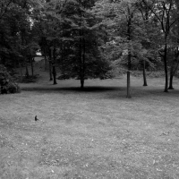 The Great Outdoors