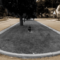 The Old Neighborhood