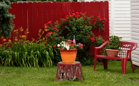 Red White and Summer - beautiful flowers, summer flowers, red roses, red and white flowers, Red White and Summer