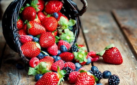 Berries - fresh, basket, berries, red