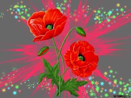 POPPIES - creation, flowers, poppy, red