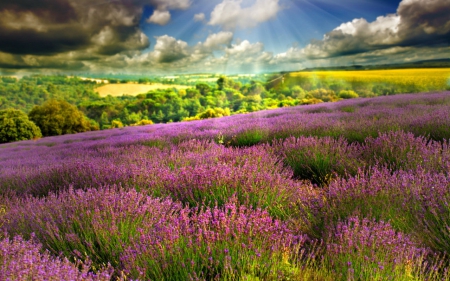 Beautiful scenery - sky, meadow, field, nature, mountain