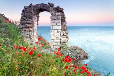 Arch at the Sea - cliff, water, poppies, ocean, grass