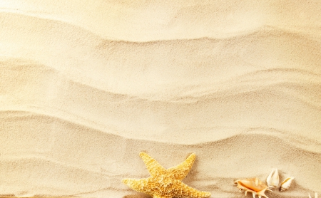 ♥Sand♥ - seashells, starfish, sand, marine