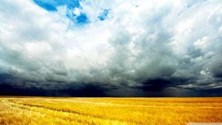 Storm brewing - clouds, fields, storms, popular, nature, forces of nature, new, sky, wallpaper