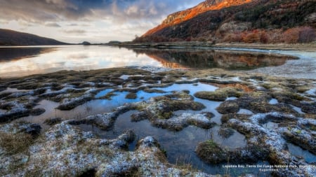 Lapataia Bay - mountains, lake, south america, argentina