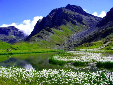 Perrin lake - sky, lake, mountain, summer, shore, meadow, lovely, beautiful, flowers, grass