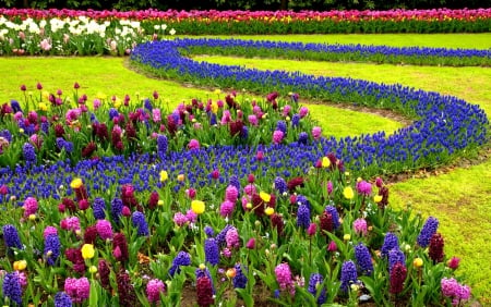 Tulips and Hyacinths Garden - flowers, tulips, Spring, garden, Hyacinth, grass