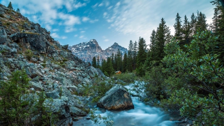 rocky mountain stream hdr - flowing, trees, stream, cabin, mountains, hdr, rocks