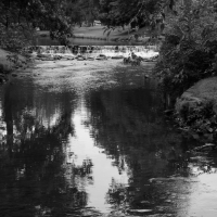 Monochrome Park