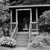 Monochrome Tree House