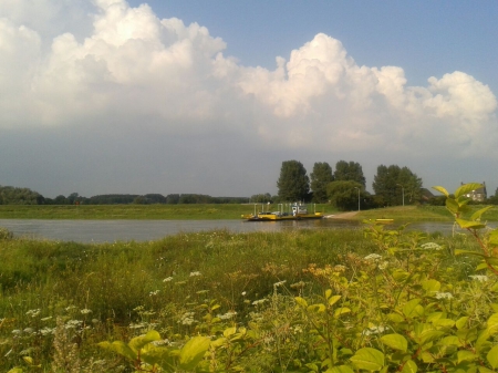 Crossing the river - clouds, trees, yellow, summer, photography, grass, flower, tree, flowers, river, nature, cloud, sky