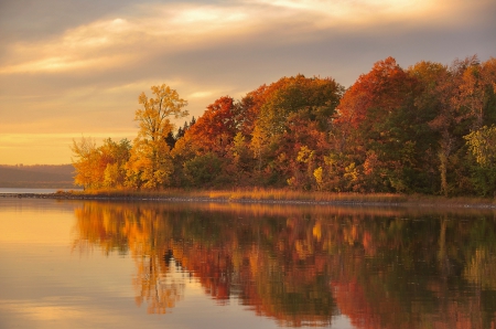 Autumn - colors, autumn, trees, river