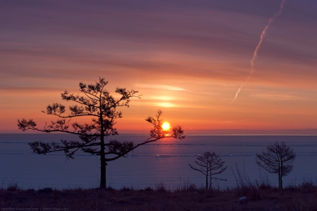 Sunset - tree, amazing, sunset, clouds