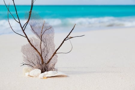 Beach Art - Ocean, Sand, Art, Beach