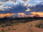 crepuscular sun rays