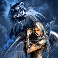 Year of the Tiger