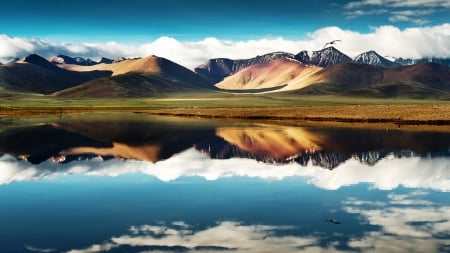 Mountain Reflection, Ladakh - clouds, prairie, birds, India, beautiful, reflection, Himalayas, field, lake, mountains