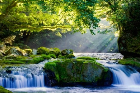 Forest stream - sunlight, trees, cascades, summer, beautiful, creek, stream, forest, lovely, brook, glow, river, nature, rays, shine