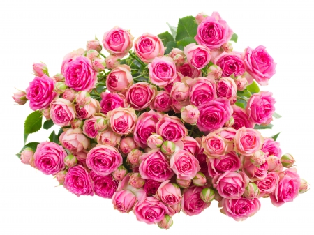 ♥Pink Roses♥ - roses, flowers, bouquet, pink