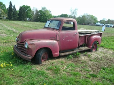 Old Fadded Chevy - chevy, pickup, old, truck