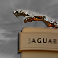 Jaguar Logo