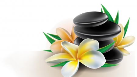 Frangipani Spa Rocks - flowers, plumeria, restful, spa, frangipani, rocks, leaves