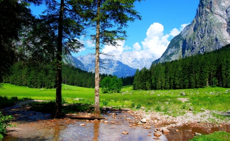 Berchtesgaden National Park - trees, water, summer, mountains, creek, forest, beautiful, clouds, green grass, germany, cliffs