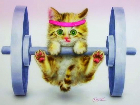 ..Let's Get Physical.. - adorable, animals, kittens, draw and paint, lovely, creative pre-made, love four seasons, weights, pretty, weird things people wear, cats, colors, paintings, cute