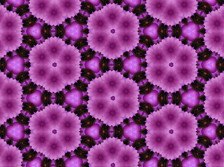 Purple flowers - fractals, mauve, abstract, 3d and cg, techno