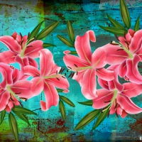 LILLIES