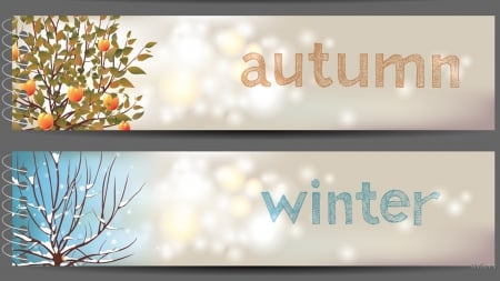 Autumn Winter Notes - bokeh, spiral, winter, snow, leaves, tree, banner, fall, notebook, autumn, seasons