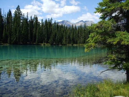 Beauvert Lake - lake, forest, cool, fun, nature, mountain