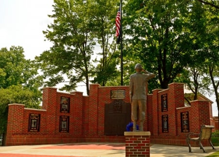 A Heroes Salute - military vets, war vets, a heroes salute, salute, honring soldiers