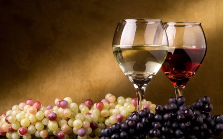 A glass of wine - Red Wine, Glass, Grapes, Wine, White Wine